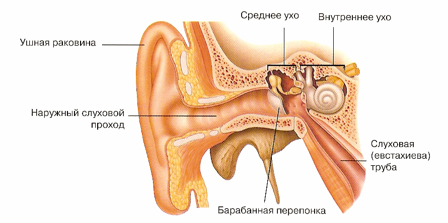 1234.jpg 1234.jpg