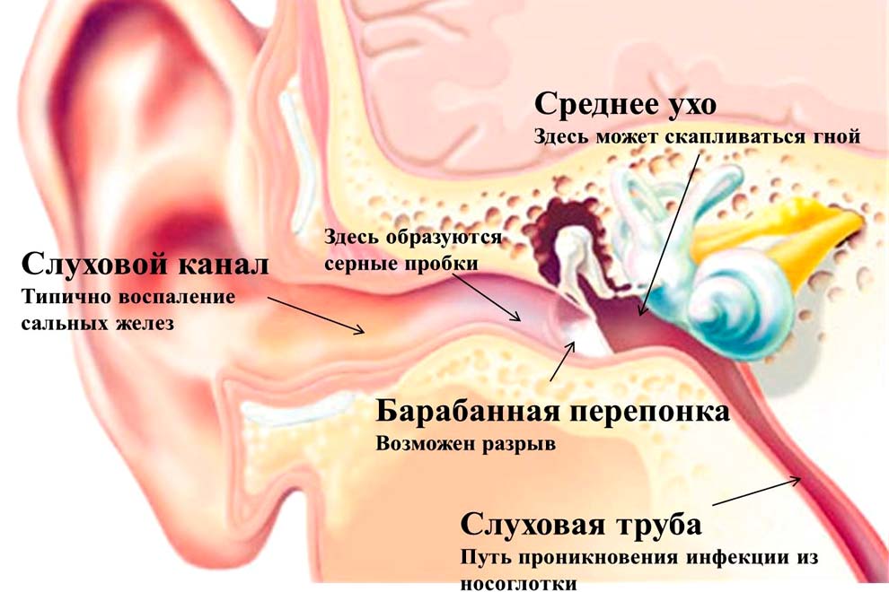 1234.jpg 1234.jpg