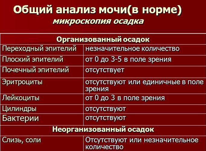 На что берут кровь из вены при пневмонии На что берут кровь из вены при пневмонии thumbnail