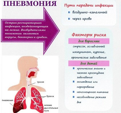 Причины появления пневмонии Причины появления пневмонии