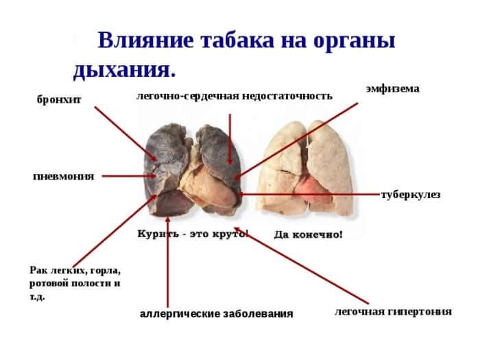 Влияние табака